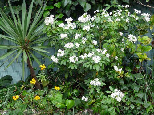 Nos photos d'avril 2012 : le printemps s'installe difficilement...