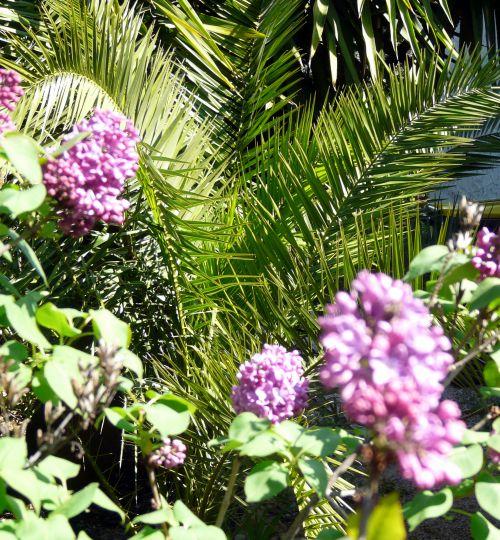 Nos photos d'avril 2012 : le printemps s'installe difficilement...