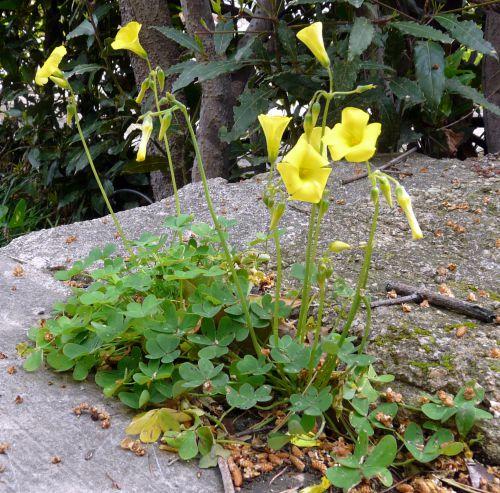 Nos photos d'avril 2012 : le printemps s'installe difficilement...