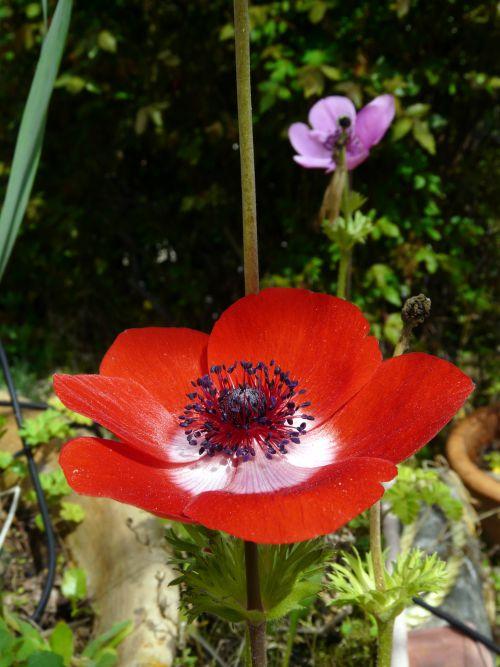 Nos photos d'avril 2012 : le printemps s'installe difficilement...