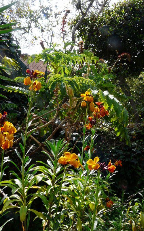 Nos photos d'avril 2012 : le printemps s'installe difficilement...