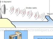 Mathématiques tsunami