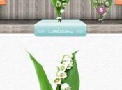 Brin muguet, application pour