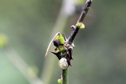 sim romi 28 avril 2012 018.jpg