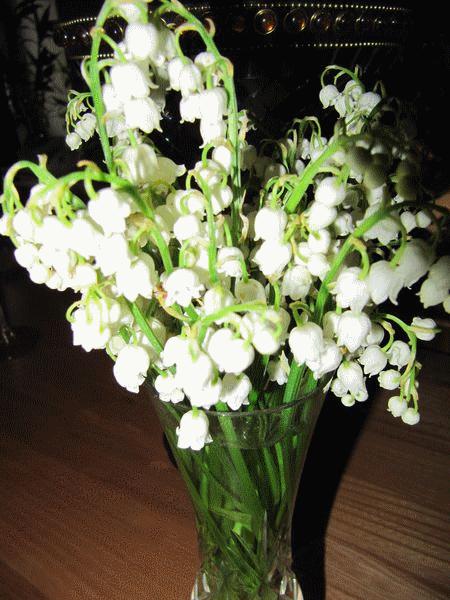 muguet-25.gif