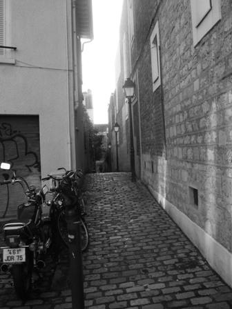 Escaliers des rues de Paris : Passage Plantin