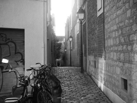 Escaliers des rues de Paris : Passage Plantin