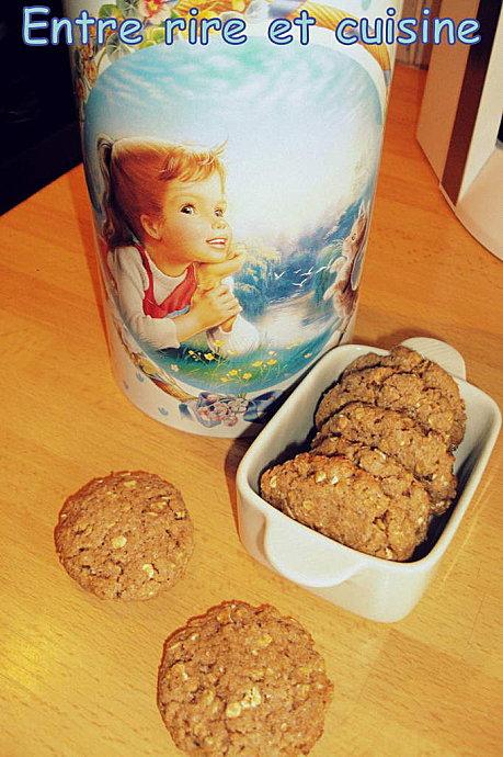 Biscuits-complets-flocons-avoine.JPG