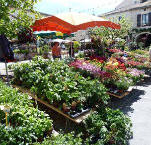 Belle journée à Tournon d'Agenais P1050861