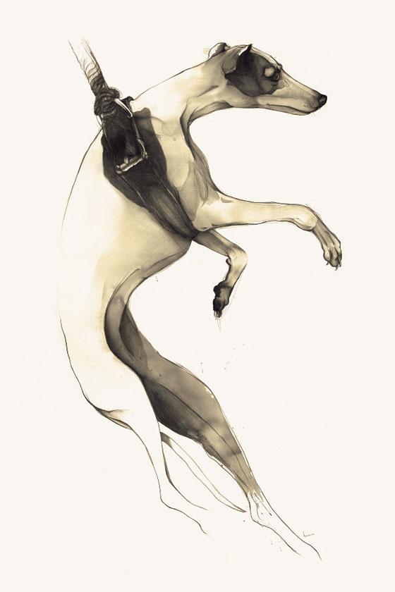 dessin de chien par Kareena Zerefos