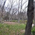 Voyage Japon - Shinjuku Voyage Japon - Shinjuku