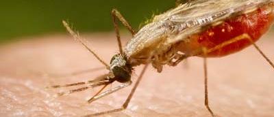 L'ONU A La Recherche de 3.2 Milliards de $... L'ONU A La Recherche de 3.2 Milliards de $...