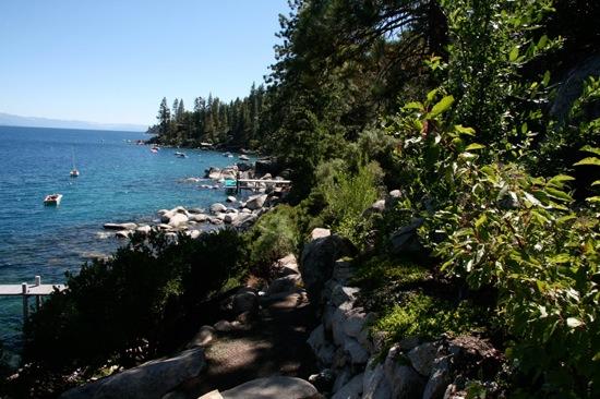 Lake House - Mark Dziewulski Architect - 28