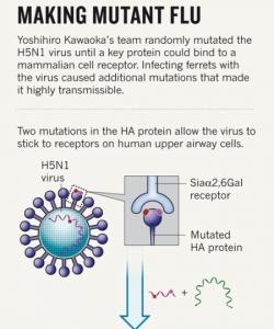 SUPERVIRUS H5N1: La revue scientifique Nature publie la première étude – Nature