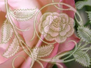 ALTERAROSA A AVIGNON !