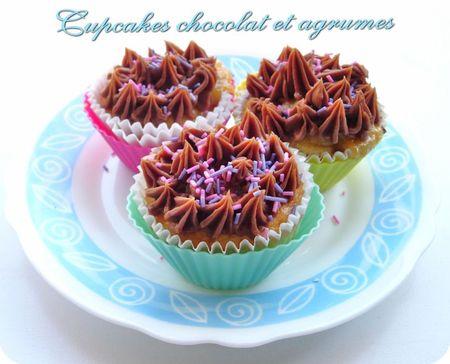 cupcakes chocolat agrumes (scrap1)