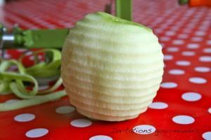 IMG_5027 UTILISER UN PÈLE-POMMES