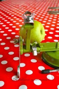 IMG_5024 UTILISER UN PÈLE-POMMES