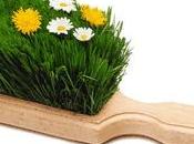 ménage naturel c'est malin