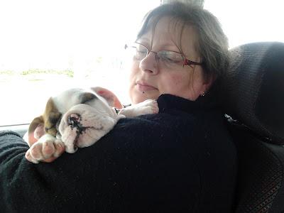 Un petit nouveau dans la famille