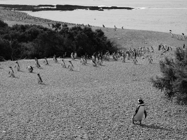 Reportage Photo Valmente photo14 Reportage photo   Largentine