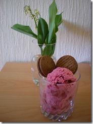 IMGP4548 (FILEminimizer)