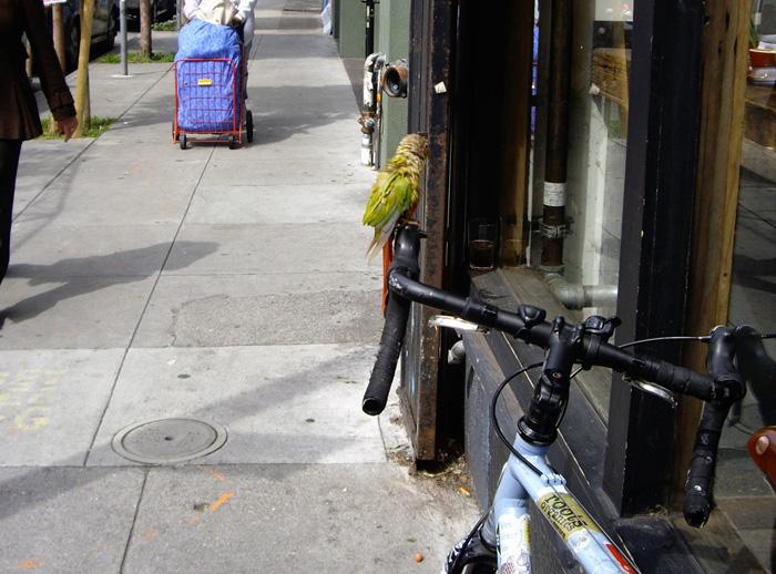 weekly pics 04 - guest - Keumel