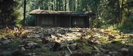 La Cabane dans les bois