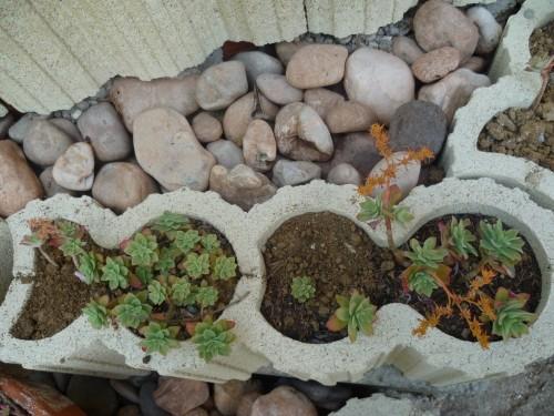 journal intime,nouvelles et textes brefs,écriture,société fêtes,mai