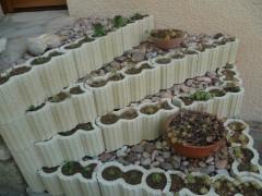 journal intime,nouvelles et textes brefs,écriture,société fêtes,mai