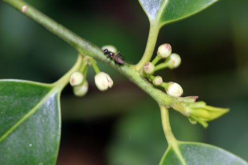 amber veneux 4 mai 2012 039.jpg