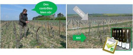 blog vin bio dessus-bon-boire bourgogne côte d'auxerre andré donat 89290 vaux (5) conventionnel contamination controle