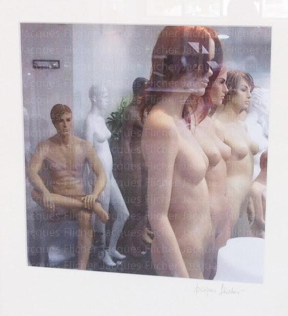 Nouvelles séries de trois expositions réalisé par le club photo de Bernay 2012 à la salle capitulaire...