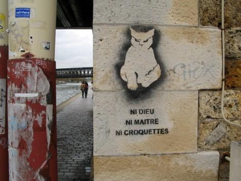 politique,société,élection,présidentielle,anarchie,lutte