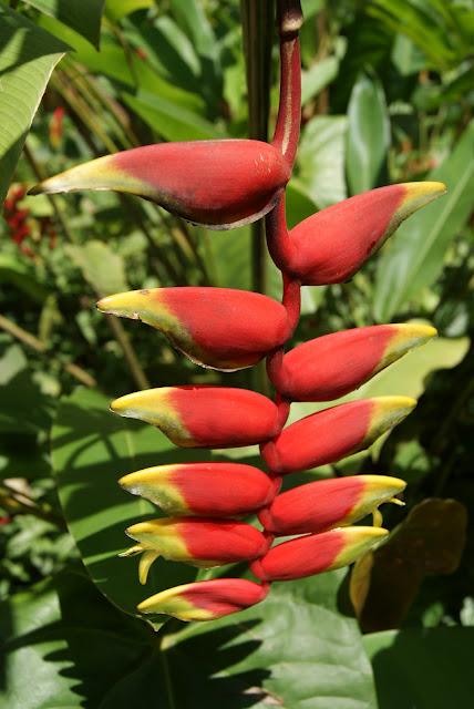 De retour...............