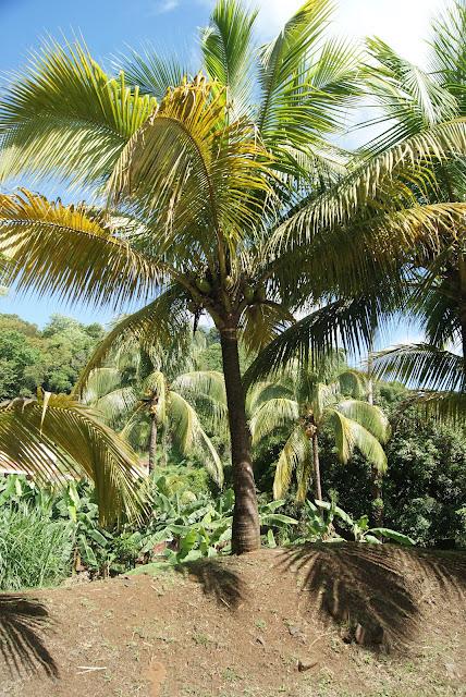 De retour...............