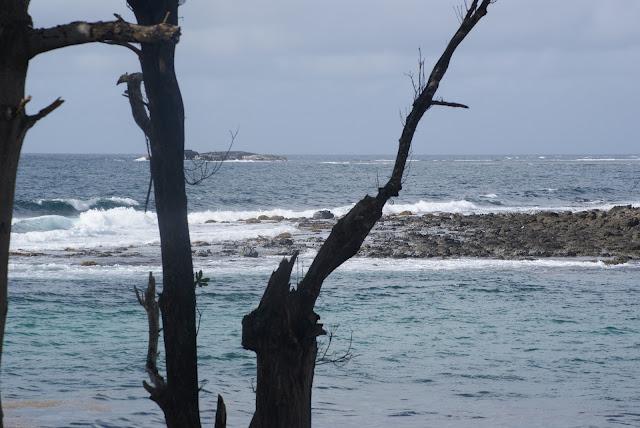 De retour...............