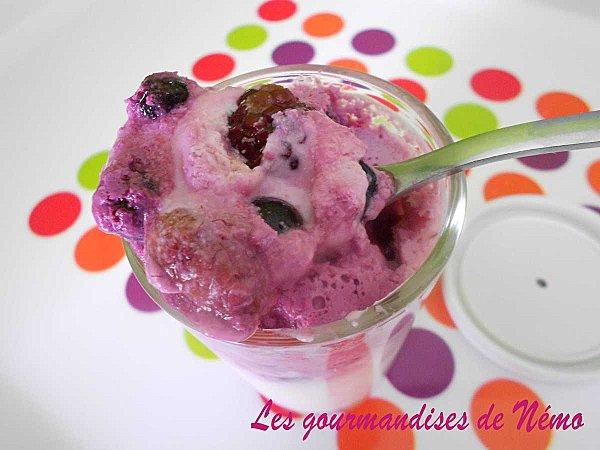 yaourts-fruits-rouges--1-.JPG