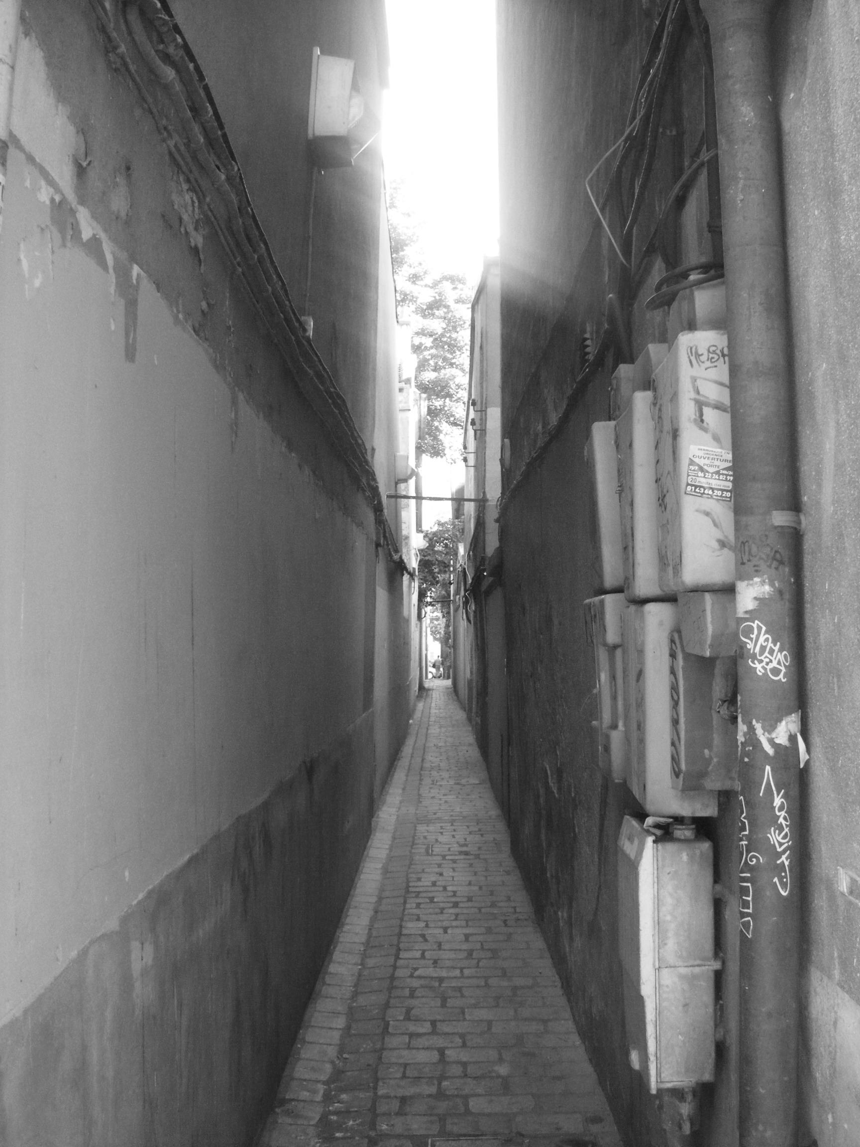 Une Rue parisienne bien étroite : le Passage du Plateau