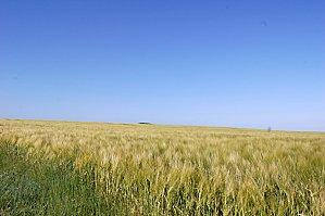 Printemps au marais (2) [1600x1200]