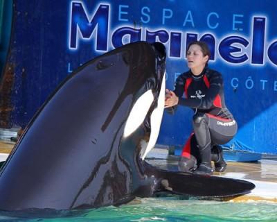 Une cannoise vous parle de ...son festival !