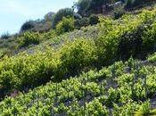 Bodegon Vandama, lieu d'exception