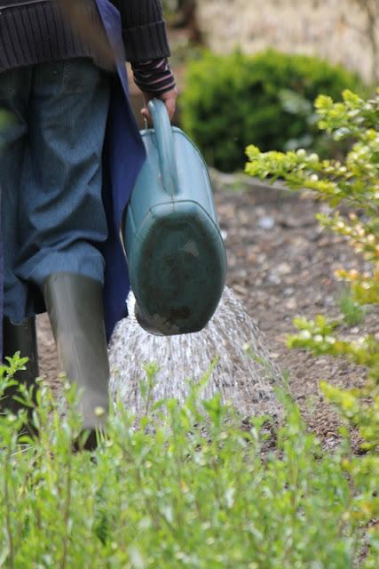 LA RECONVERSION DE LA BROUETTE