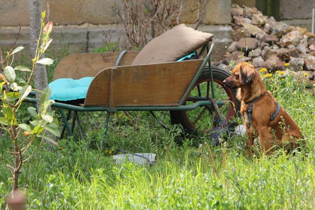 LA RECONVERSION DE LA BROUETTE