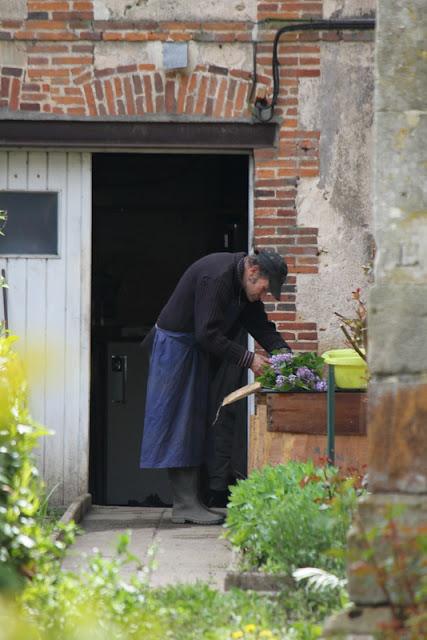 LA RECONVERSION DE LA BROUETTE
