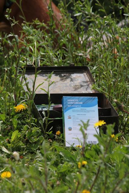 LA RECONVERSION DE LA BROUETTE