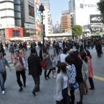 Voyage Japon - Shibuya Voyage Japon - Shibuya
