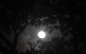 Pleine lune
