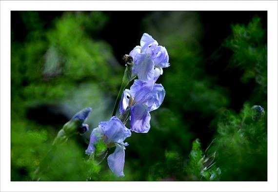 Jardins de la Fontaine, Nîmes