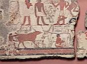 Salle vitrine peintures mastaba metchetchi lait général nourrir